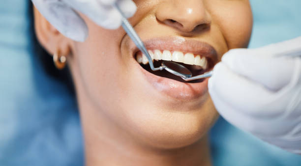 Our Range of Dental Services in The Acreage, FL